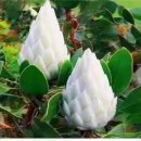 주안J타워 이미지