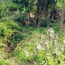 한농한의원 이미지