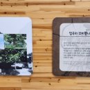 아기자기체험장