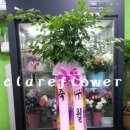 해피트리세탁소 이미지