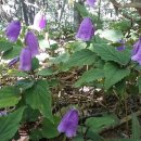 용소폭포1 이미지