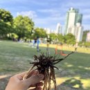 난지천2(잔디매점) 이미지