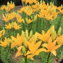 삼성부동산 이미지