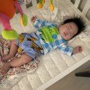 일상블로그 : 주먹고기 아기와 함께하는 워킹맘 일상 연차낸 하루