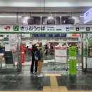 돌고래와펭귄 | 가볼만한곳_ 마린월드 우미노나카미치 방문 후기(가는법, 하카타역에서 JR 이용, 돌고래쇼, 펭귄 퍼레이드)