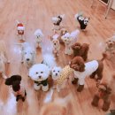 고목로1 이미지