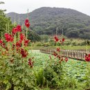 내양농장 이미지