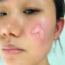 (주)바이오메드 | 재생크림 세트 유바이오메드 플라센타 허발 컨덕터블 볼륨 겔 &amp; 크림 후기