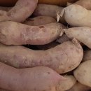 신광마을회관 이미지