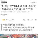 법인세 연 2500억 더 감세…맥주·막걸리 세금 오르고, 국산차는 인하 이미지