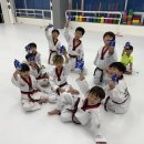 그린나래태권도장 이미지