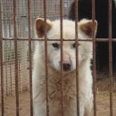 무쏘목장 이미지