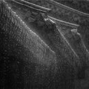 기획전시 「습지를 가다」 이미지