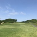 드림 골프클럽 이미지