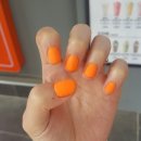 코노미네일