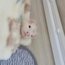 술의온도 | [스테이옛 기억의 온도] 충주 애견동반 독채펜션, 감성 가득한 숙소 후기