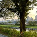 행복한숯불구이 이미지