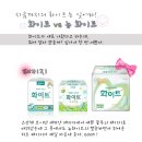 뉴화이트
