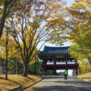 카메라 무작정 따라하기 이미지