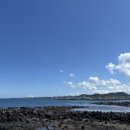 무릉쉼표 이미지