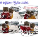 햄스터 라운지 이미지