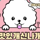 맛있개신나개 네이버블로그