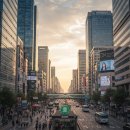 반포동 707-2 근린생활시설/사무실용 건축물 | 강남 접근성 최강! 가성비 좋은 신논현역 소형 사무실 임대