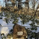 26290-20-07-424 | [등산] 겨울 한라산 설산 산행, 백록담 성판악 코스