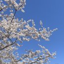 명화민박 이미지