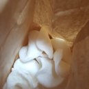 쌀쌀맞은닭 (삼산점) 이미지