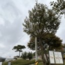 포레스트소울 | 캠핑장소개]가평캠핑장 운악산뷰 사이트 포레스트소울 캠핑장에서 쏠캠 후기~