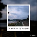 세븐일레븐 용인처인공원점 | 처인구 용인중앙시장 데이트, 기흥 호수 공원 산책(feat. 편사부, 호수앉기)