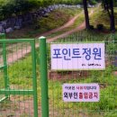 소나무과 계곡 캠핑장 | 포인트 캠핑장..캠핑 후기..