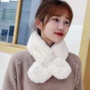 251 이미지