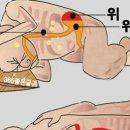 잠잘 때 왼쪽으로 자야하는 중요한 이유 7가지 이미지