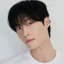쓰이네