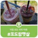 포도랑햇살 | 가평 포도랑햇살 카페, 가평포도산지 율길리에서 만난 이색카페