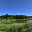 강화원공인중개사사무소 이미지