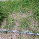 계산초등학교어린이집 이미지