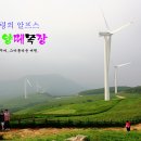 초기목장 이미지