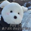 CU학익하나점 앞 | 푸른뱀의해 2025년⭐ 소소한 조각조각 나의 첫일상(1)