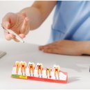 스타28치과의원 이미지