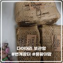 용팔이장터 | 다꾸 수납함, 아코디언 수납함 번개장터 '용팔이맘'