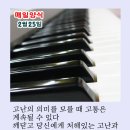 매일양식2