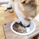 쏘밍컴퍼니 이미지