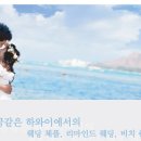웨딩플래지