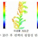 수목개발 이미지