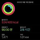 호텔로제 이미지