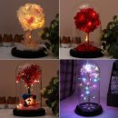 아침향기 이미지