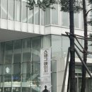 수하루